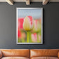 Twotone Tulip - Modern Framed Canvas Print