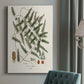 Botanical Society Ferns X Premium Gallery Wrapped Canvas - Ready to Hang