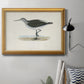 Morris Sandpipers VI Premium Framed Canvas- Ready to Hang