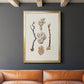 Knorr Shells & Coral V - Modern Framed Canvas Print