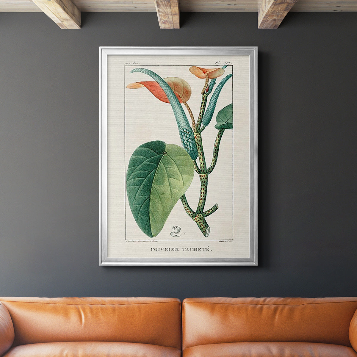 Turpin Tropical Botanicals II - Modern Framed Canvas Print