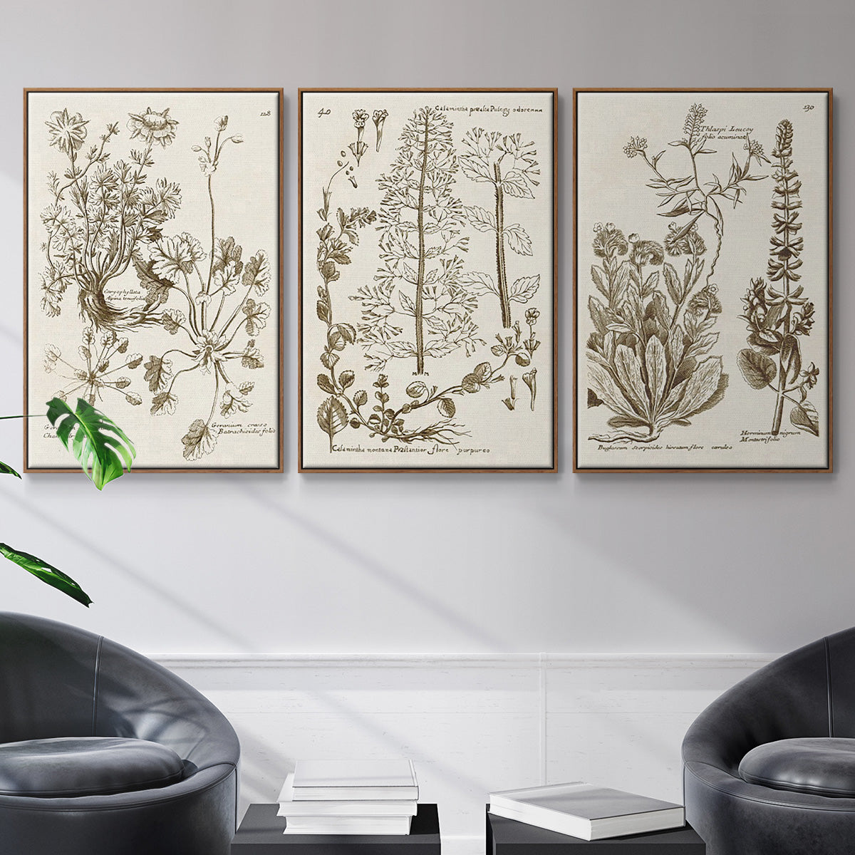 Sepia Botanical Journal IV - Framed Premium Gallery Wrapped Canvas L Frame 3 Piece Set - Ready to Hang