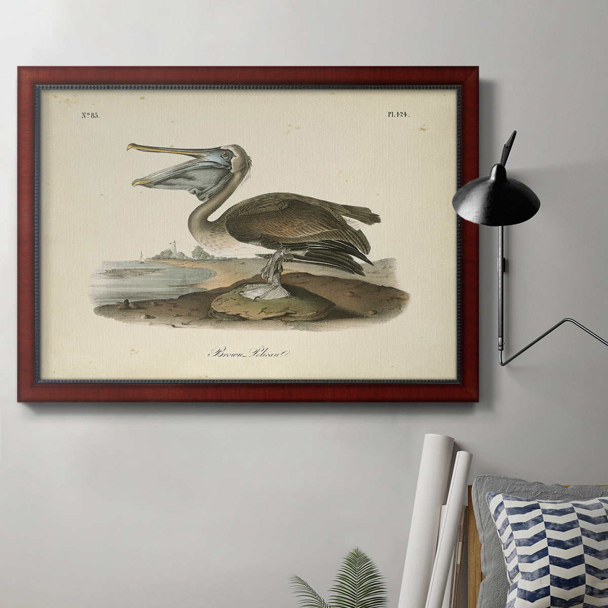 Audubons Brown Pelican - Ornate Framed Canvas Print