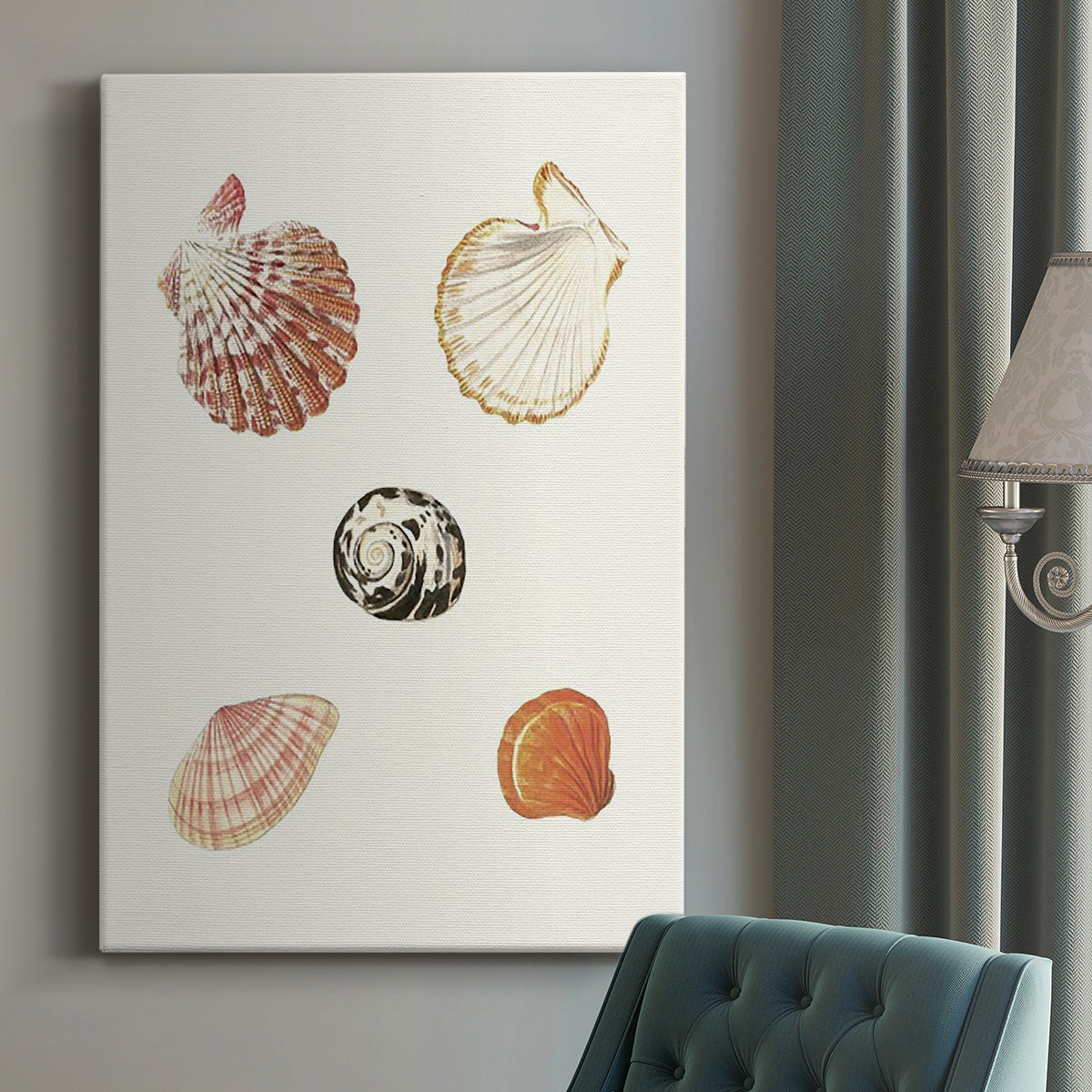 Pastel Knorr Shells VIII - Canvas Art Print