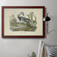 Audubons Louisiana Heron Premium Framed Canvas- Ready to Hang