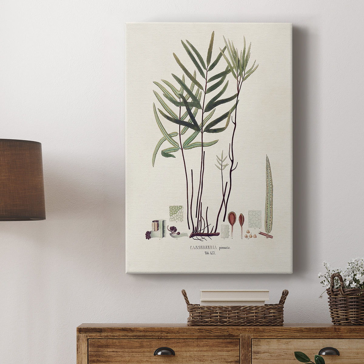 Botanical Society Ferns XI - Canvas Art Print
