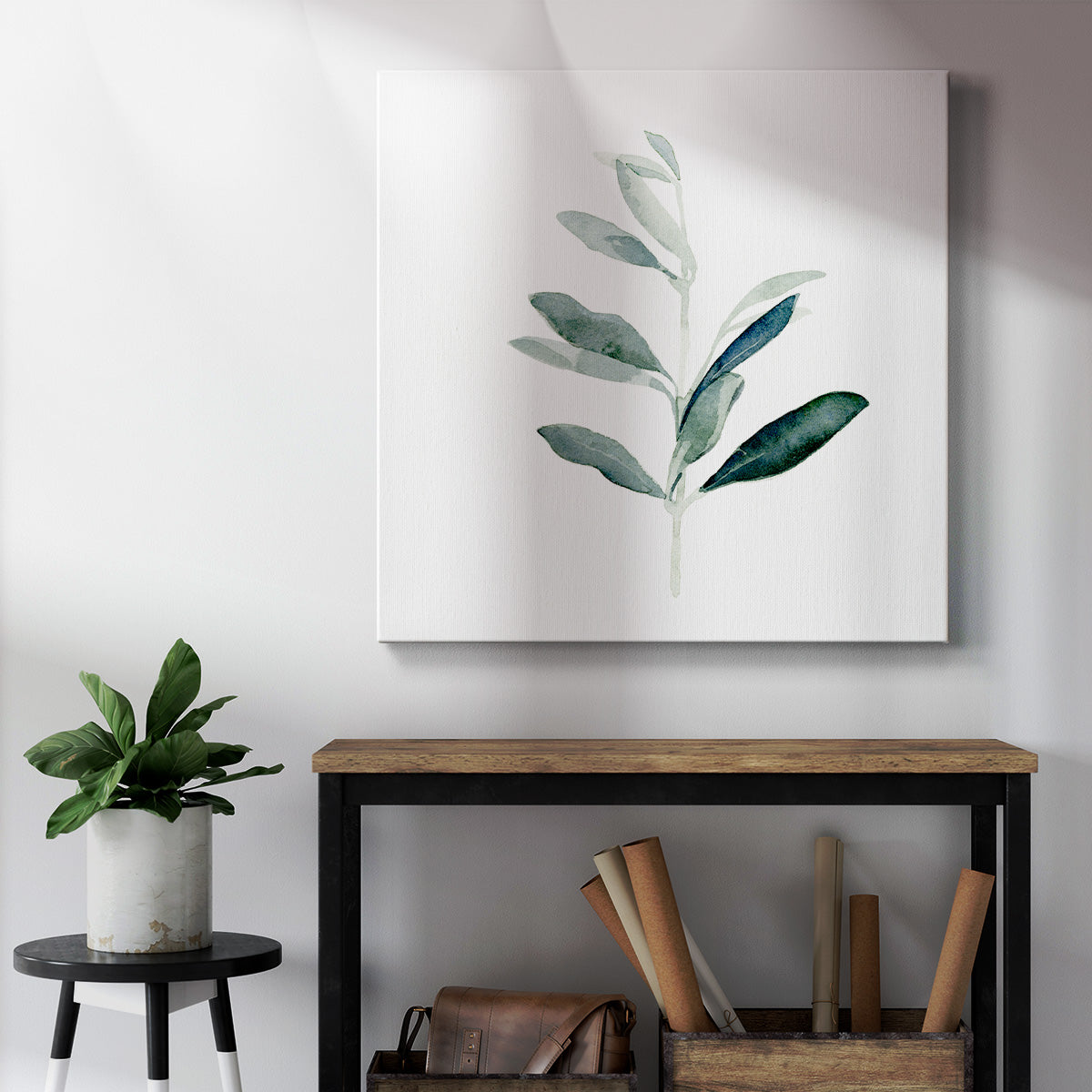 Summer Olive Branch I - Canvas Art Print