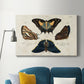 Crackled Butterflies IV - Canvas Art Print