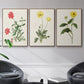 Flowers of the Seasons X - Framed Premium Gallery Wrapped Canvas L Frame 3 Piece Set - Ready to Hang