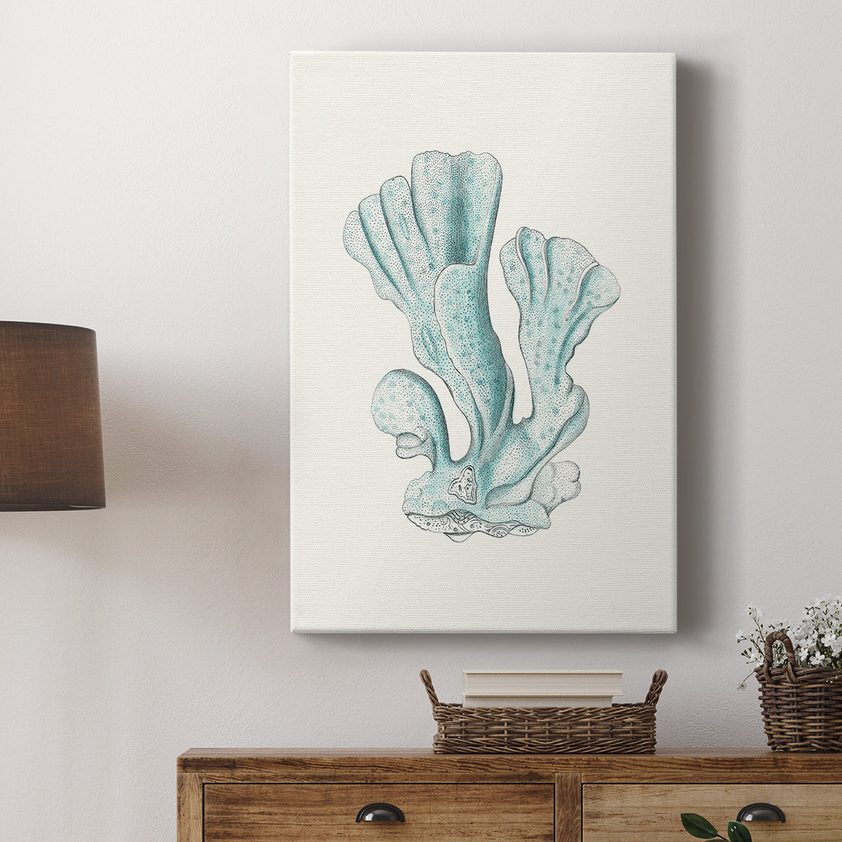 Antique Coastal Coral XI - Canvas Art Print