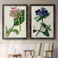 Set of two black barnwood framed canvas prints depicting two antique botanical plate illustrations featuring colorful flowering plant specimens above a sideboard in a cozy sitting room.