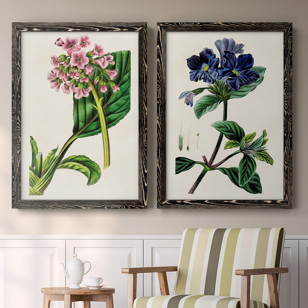Set of two black barnwood framed canvas prints depicting two antique botanical plate illustrations featuring colorful flowering plant specimens above a sideboard in a cozy sitting room.