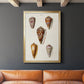 Cone Shell Collection VI - Modern Framed Canvas Print