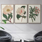 Pink Floral Mix VI - Framed Premium Gallery Wrapped Canvas L Frame 3 Piece Set - Ready to Hang