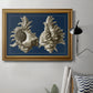 Conch Shells on Navy II Premium Framed Canvas- Ready to Hang