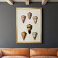 Cone Shell Collection IV - Modern Framed Canvas Print