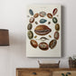 Spiral Shell Formation II - Canvas Art Print