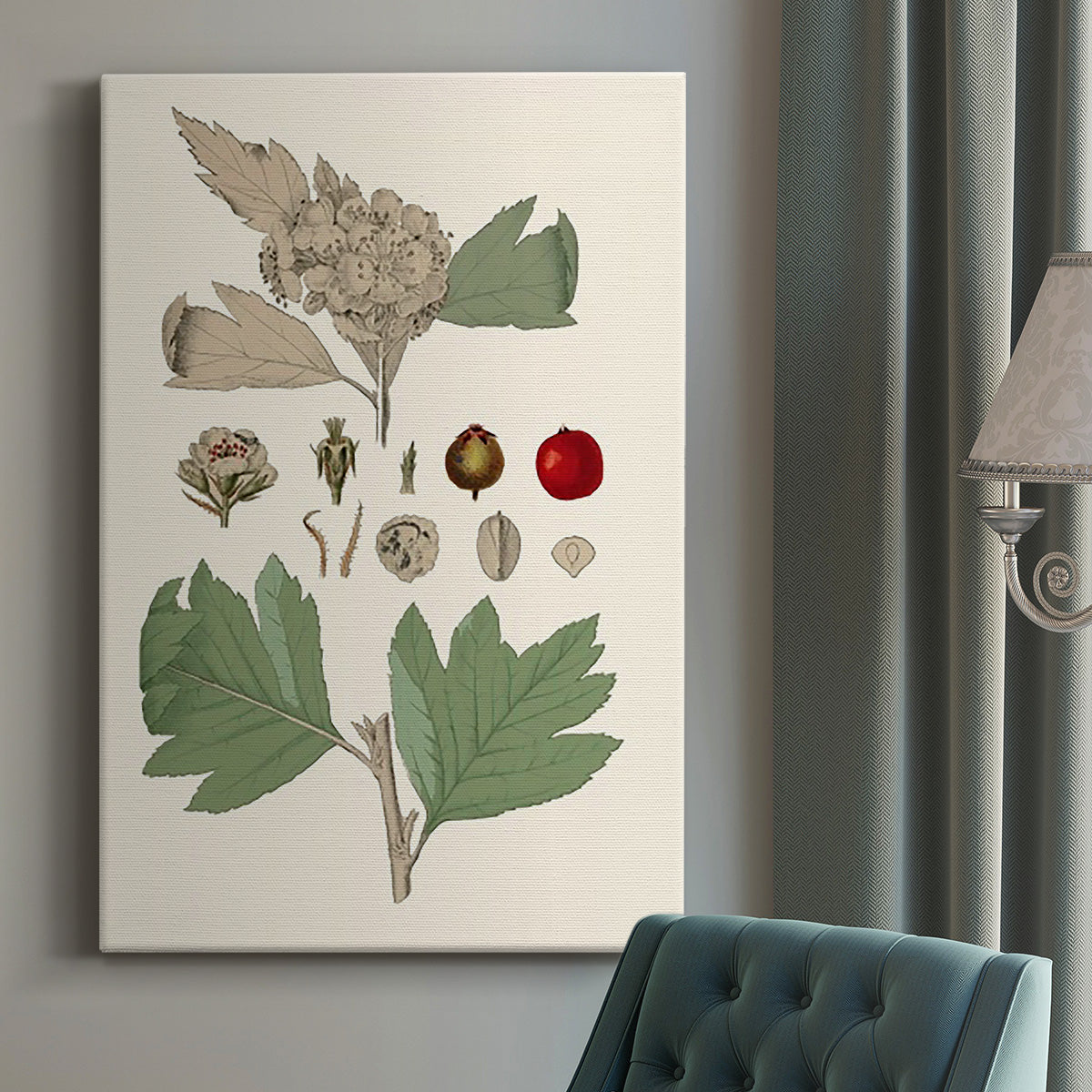 Leaves & Berries IV - Canvas Art Print