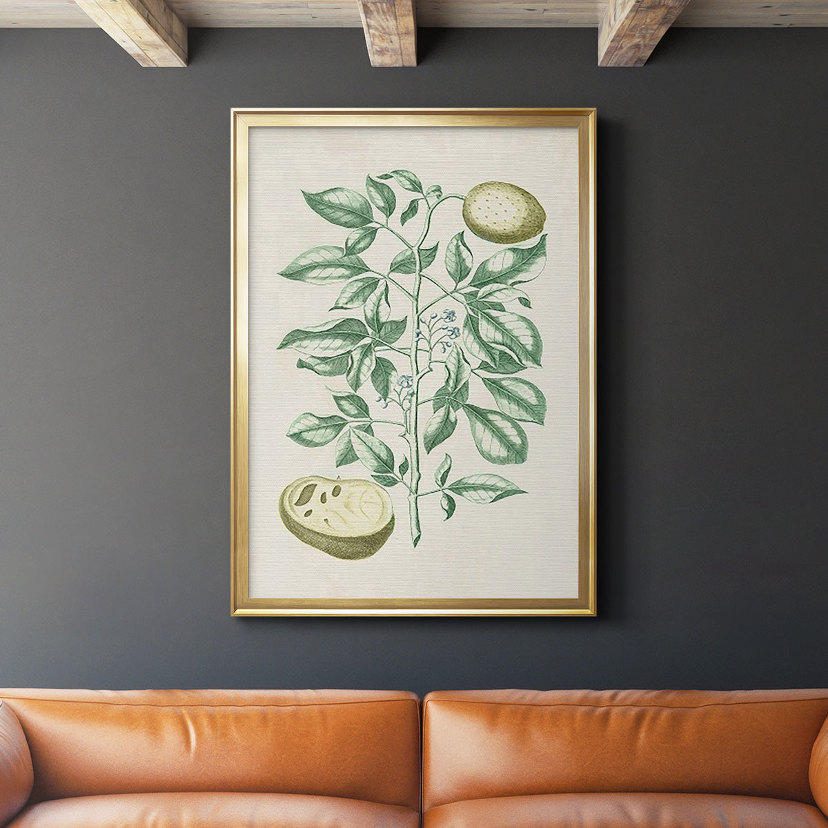 Buchoz Tropicals III - Modern Framed Canvas Print