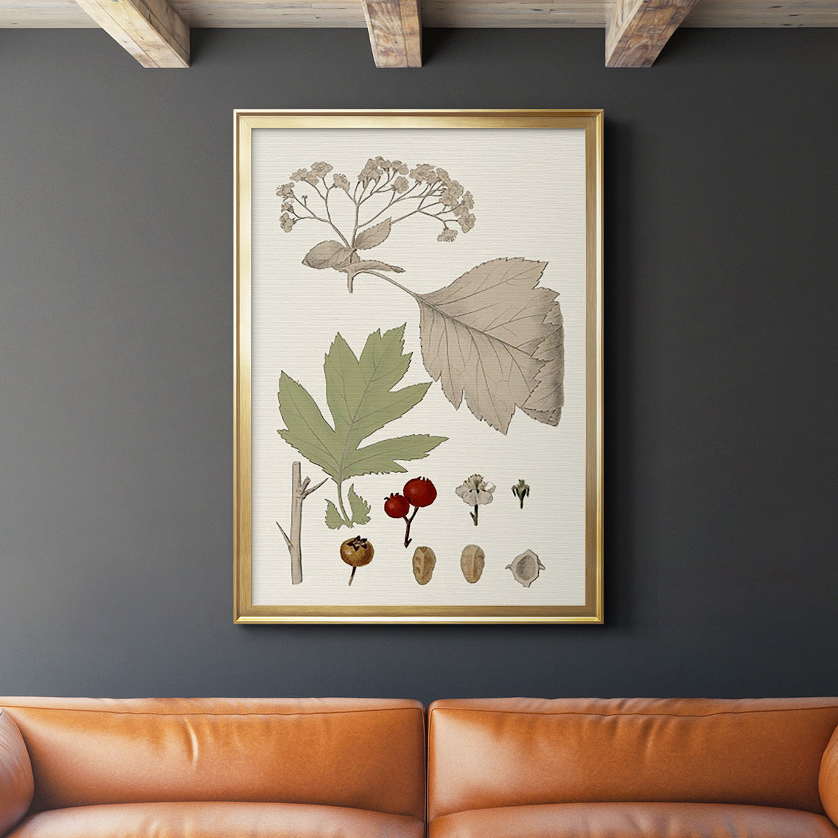 Leaves & Berries II - Modern Framed Canvas Print