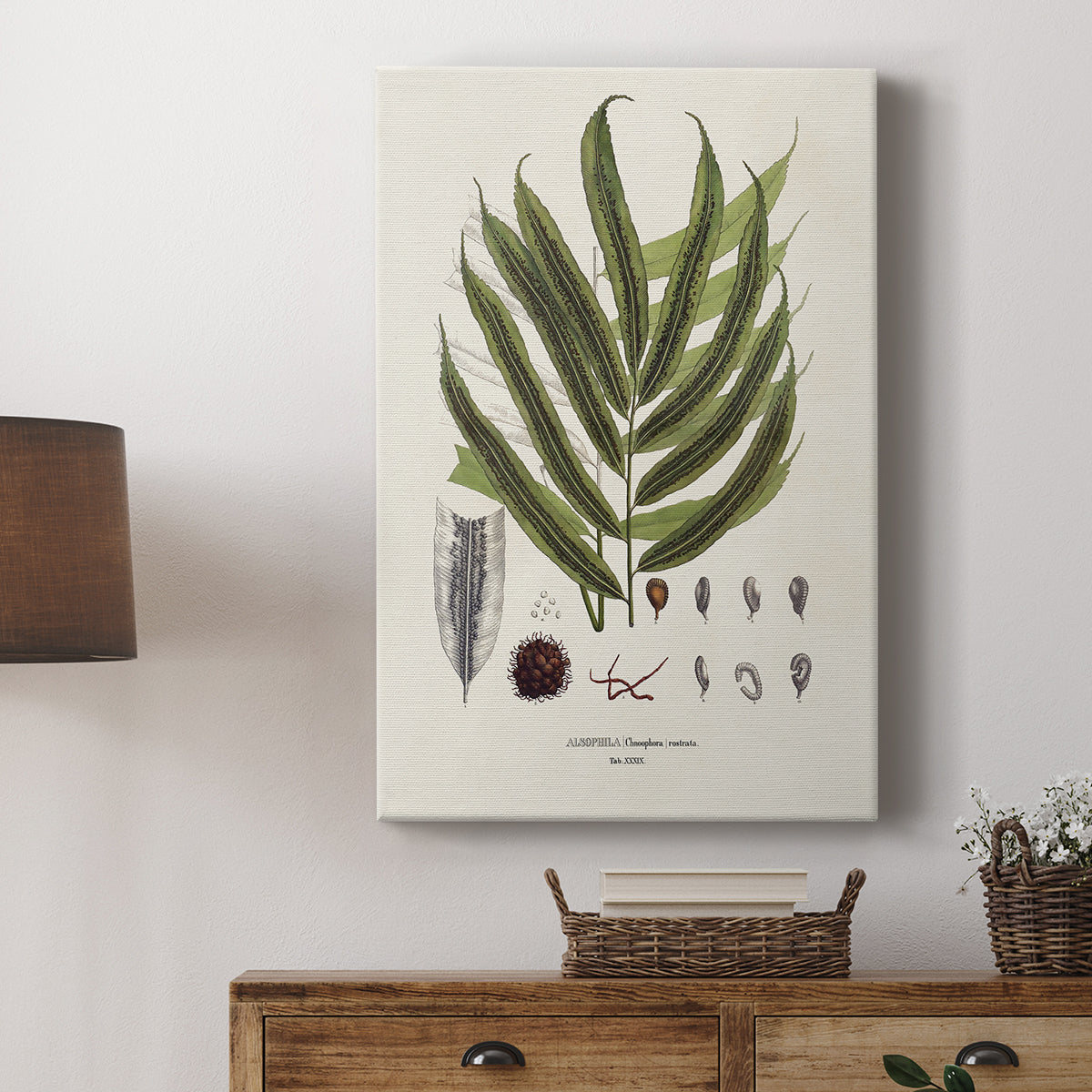 Botanical Society Ferns II - Canvas Art Print