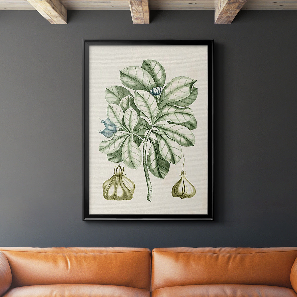 Buchoz Tropicals IX - Modern Framed Canvas Print