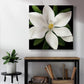 Midnight Magnolia I - Canvas Art Print