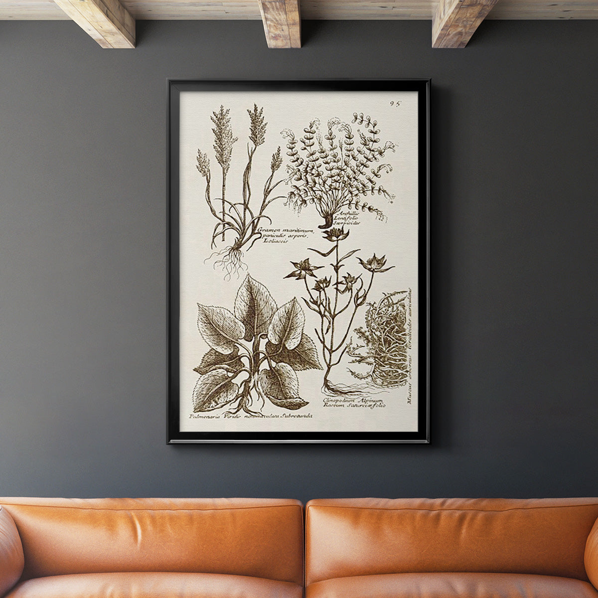 Sepia Botanical Journal VII - Modern Framed Canvas Print