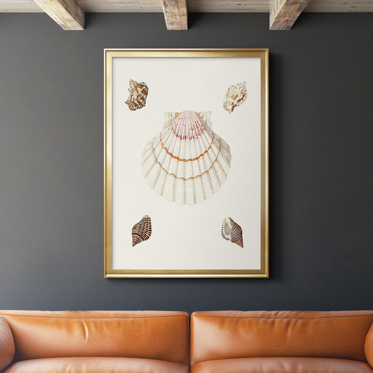 Pastel Knorr Shells IV - Modern Framed Canvas Print