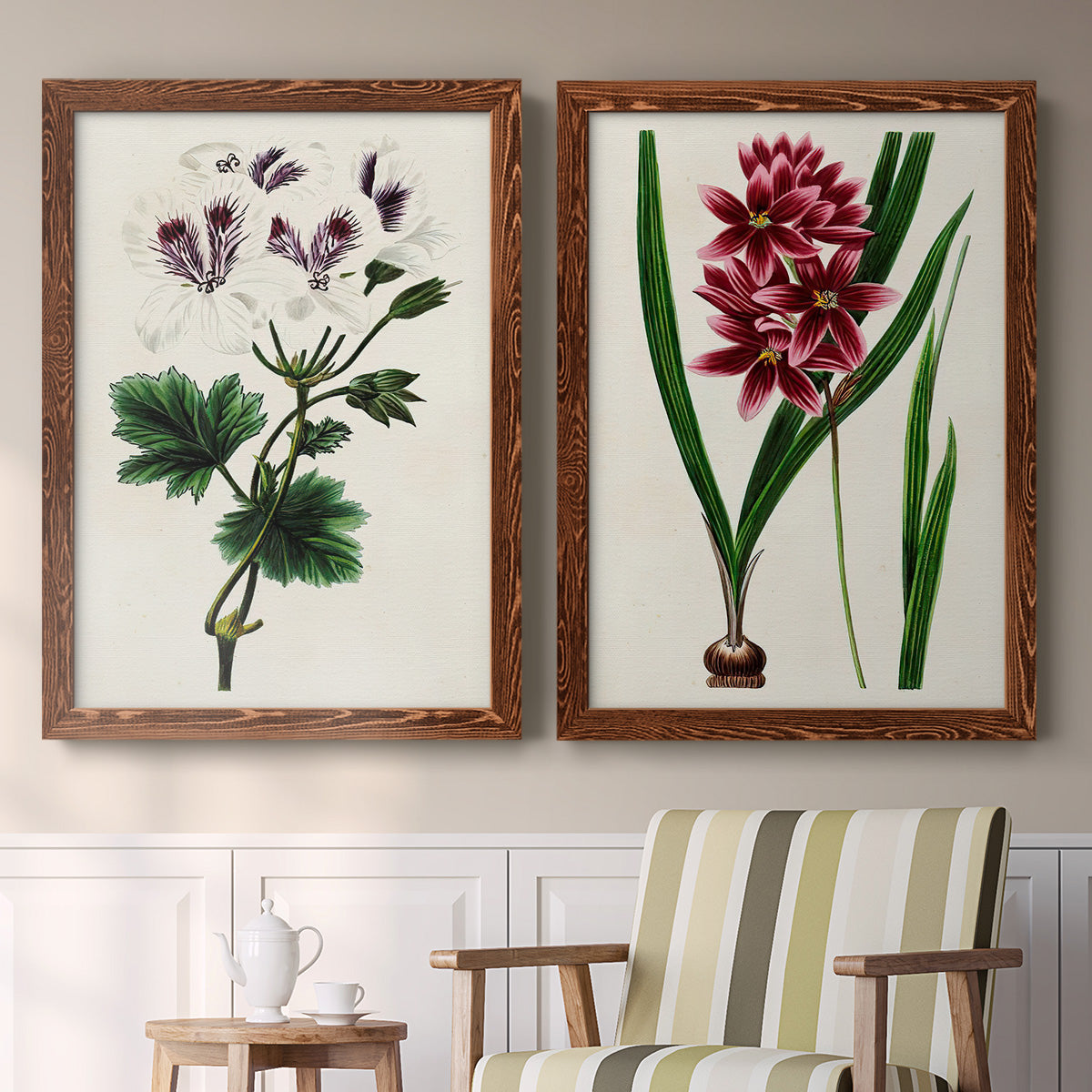 Set of two maple barnwood framed canvas prints depicting two antique botanical plate illustrations featuring colorful flowering plant specimens above a sideboard in a cozy sitting room.
