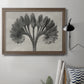 Vintage botanical plant study photograph by Karl Blossfeldt in an ornate traditional bronze frame displayed in a neutral interior setting.