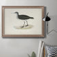 Morris Sandpipers VIII Premium Framed Canvas- Ready to Hang