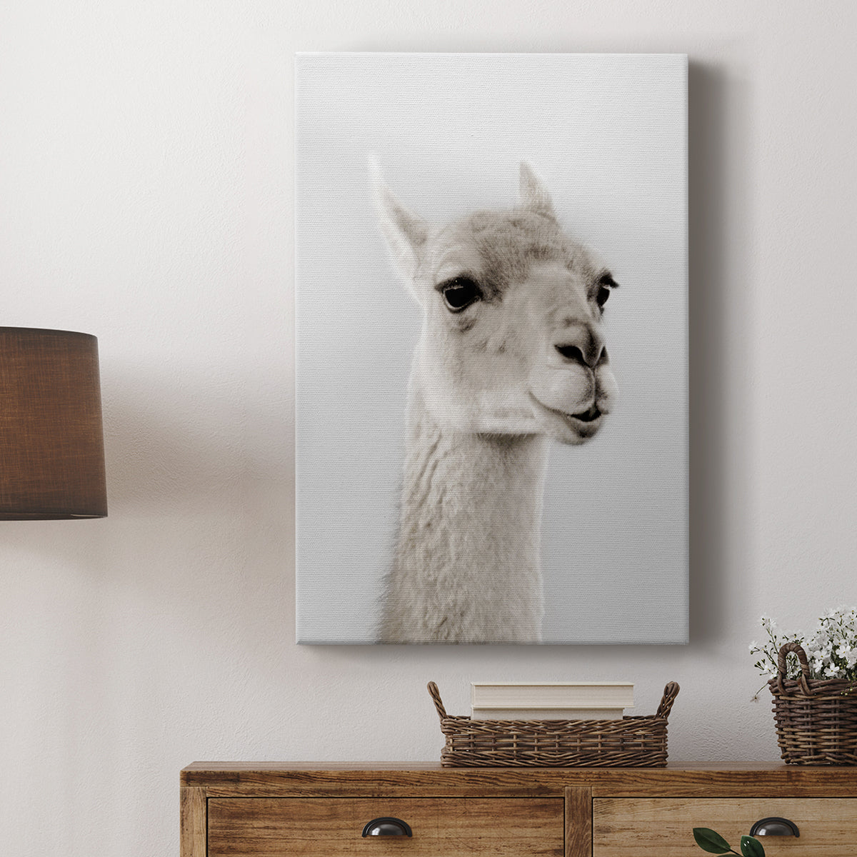 Soft Llama - Canvas Art Print