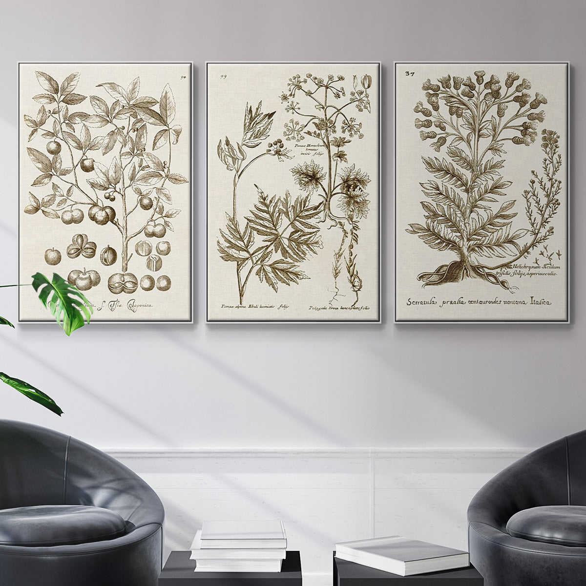 Sepia Botanical Journal I - Framed Premium Gallery Wrapped Canvas L Frame 3 Piece Set - Ready to Hang