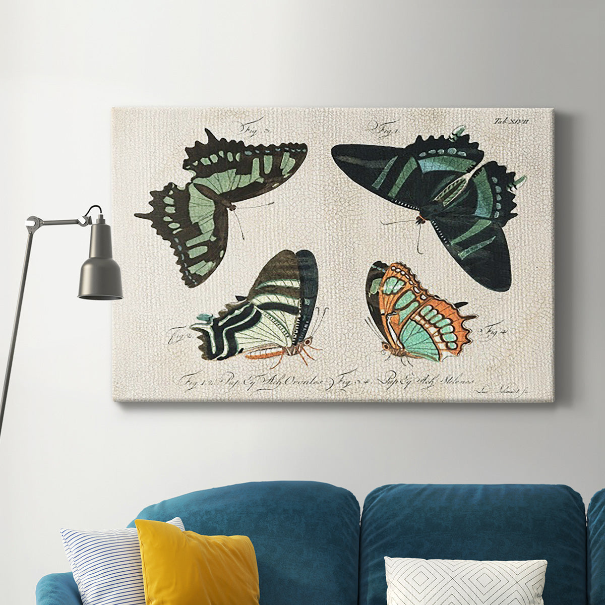 Crackled Butterflies III - Canvas Art Print