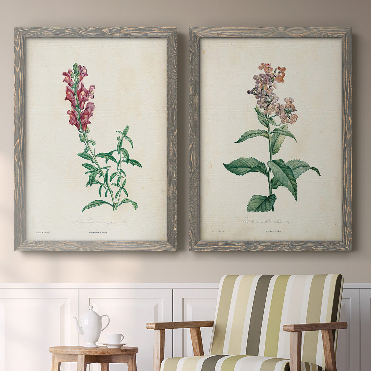 Set of two gray barnwood framed canvas prints depicting two vintage botanical studies of flowering stems with detailed green leaves on aged cream paper above a sideboard in a cozy sitting room.
