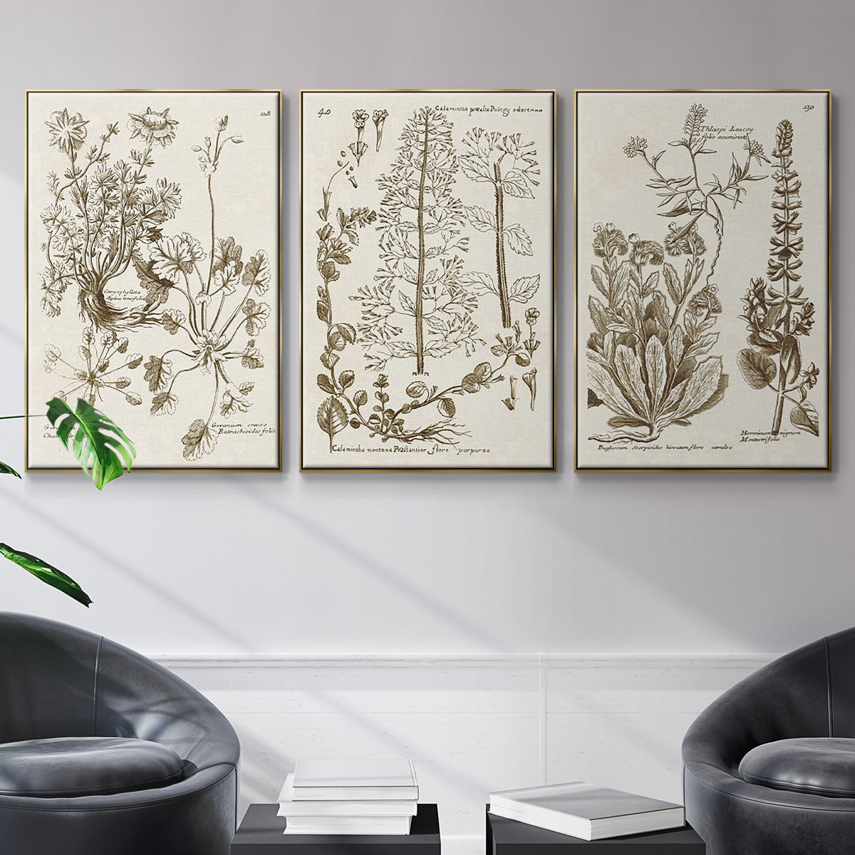 Sepia Botanical Journal IV - Framed Premium Gallery Wrapped Canvas L Frame 3 Piece Set - Ready to Hang