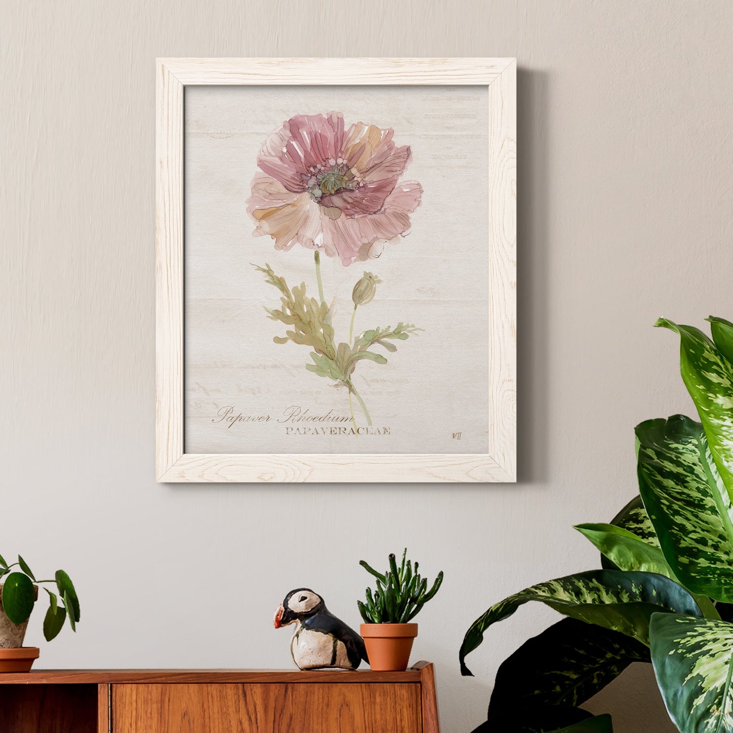 Soft Poppy - Premium Canvas Framed in Barnwood - Ready to Hang