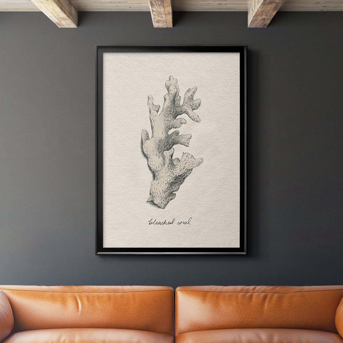 Shore Treasure Study II - Modern Framed Canvas Print