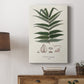 Botanical Society Ferns XII - Canvas Art Print