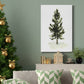 Watercolor Pine I - Gallery Wrapped Canvas