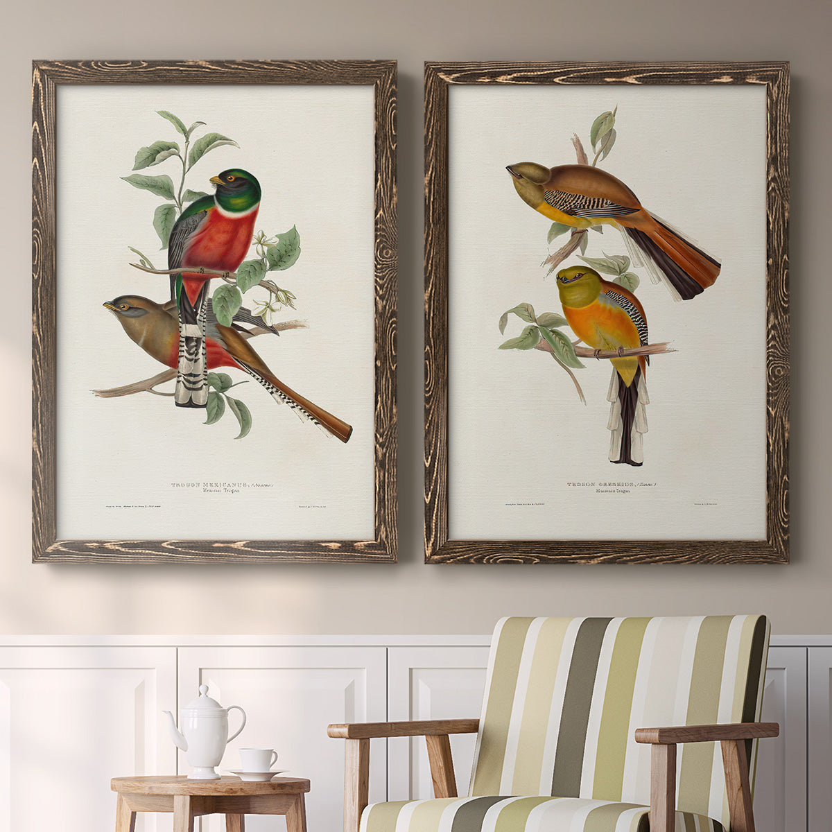 Elegant Trogons I - Premium Framed Canvas 2 Piece Set - Ready to Hang