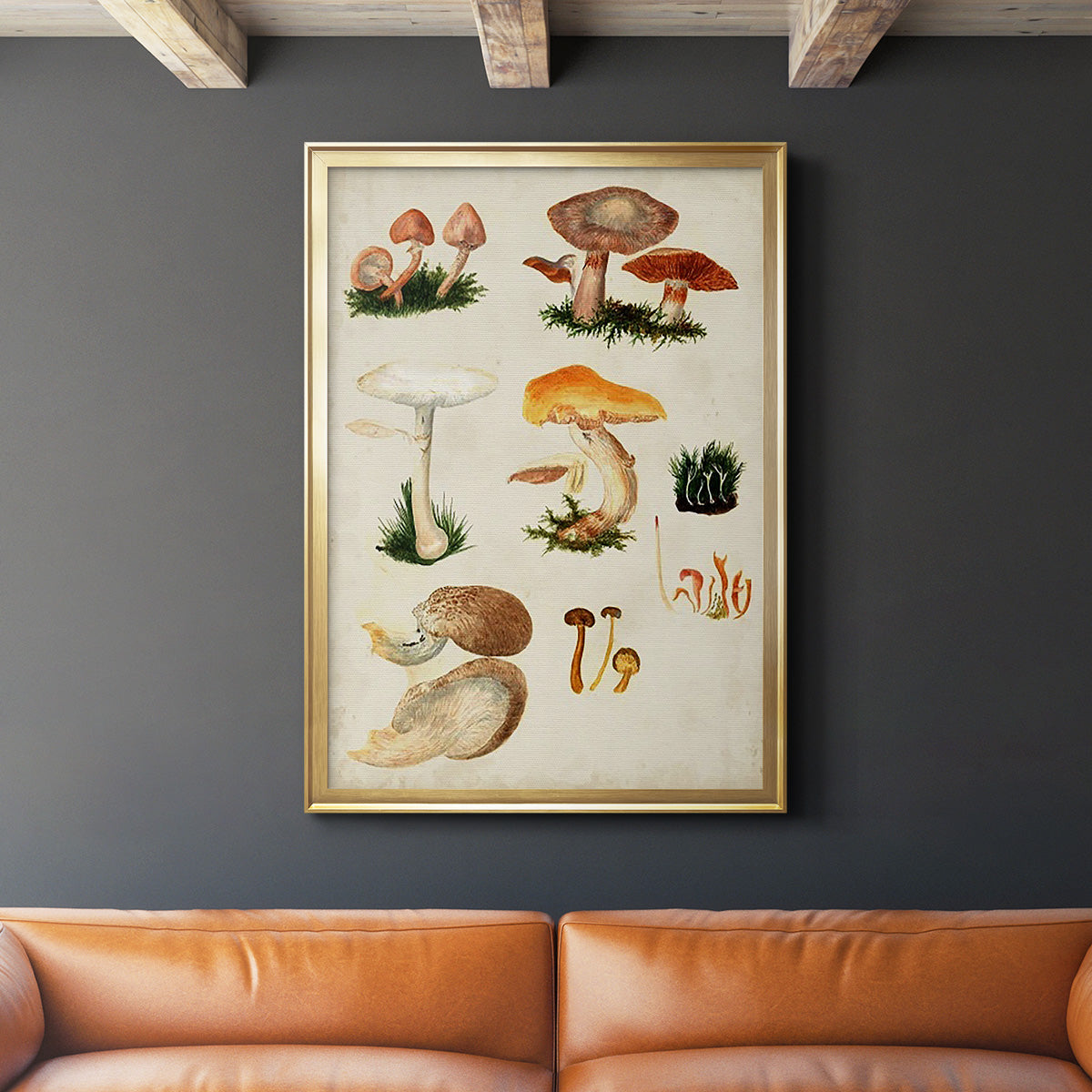 Mushroom Species IV - Modern Framed Canvas Print