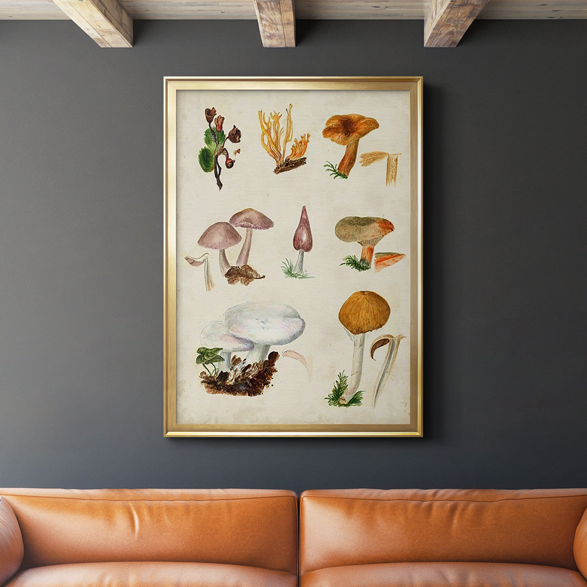 Mushroom Species VI - Modern Framed Canvas Print