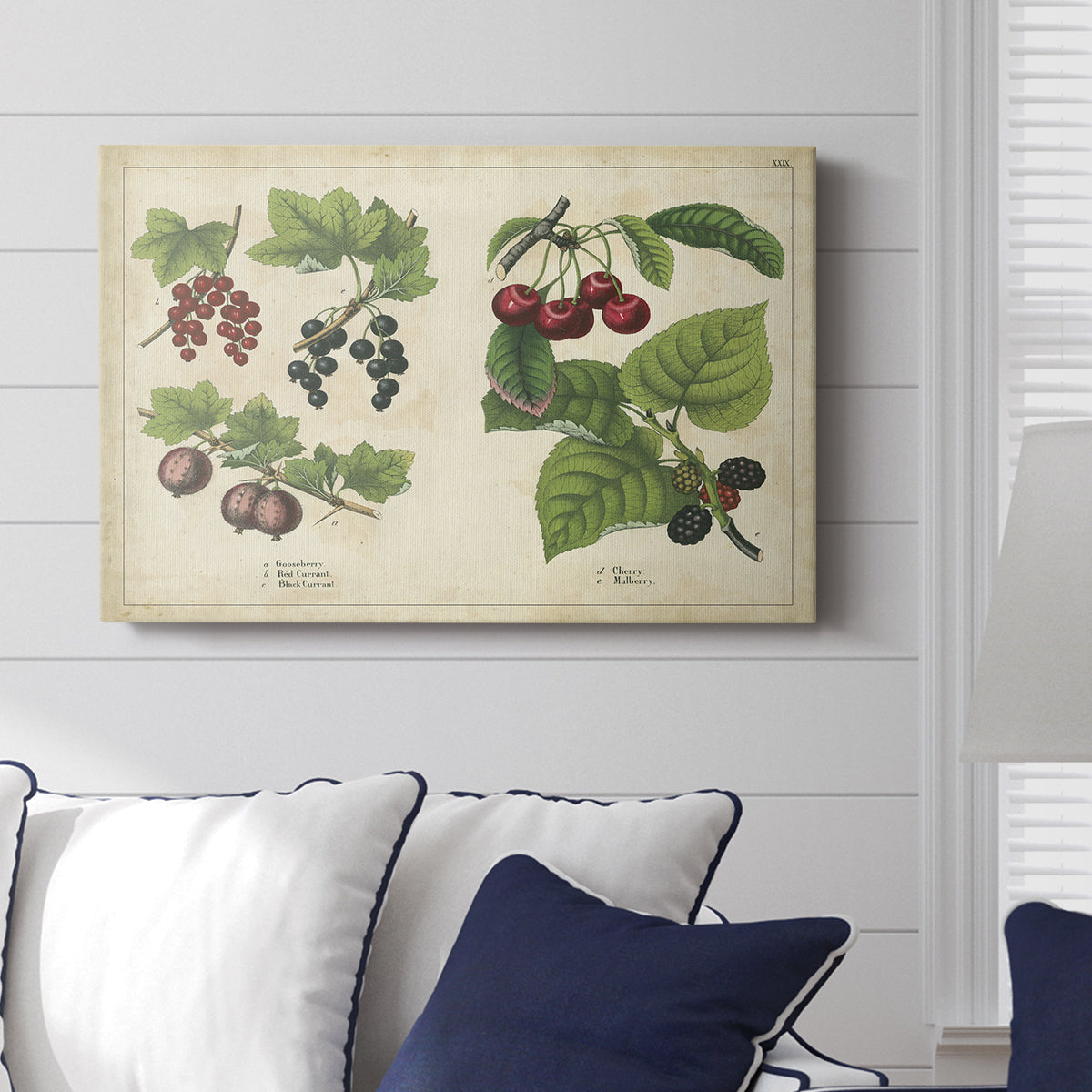 Berries and Currants - Canvas Art Print