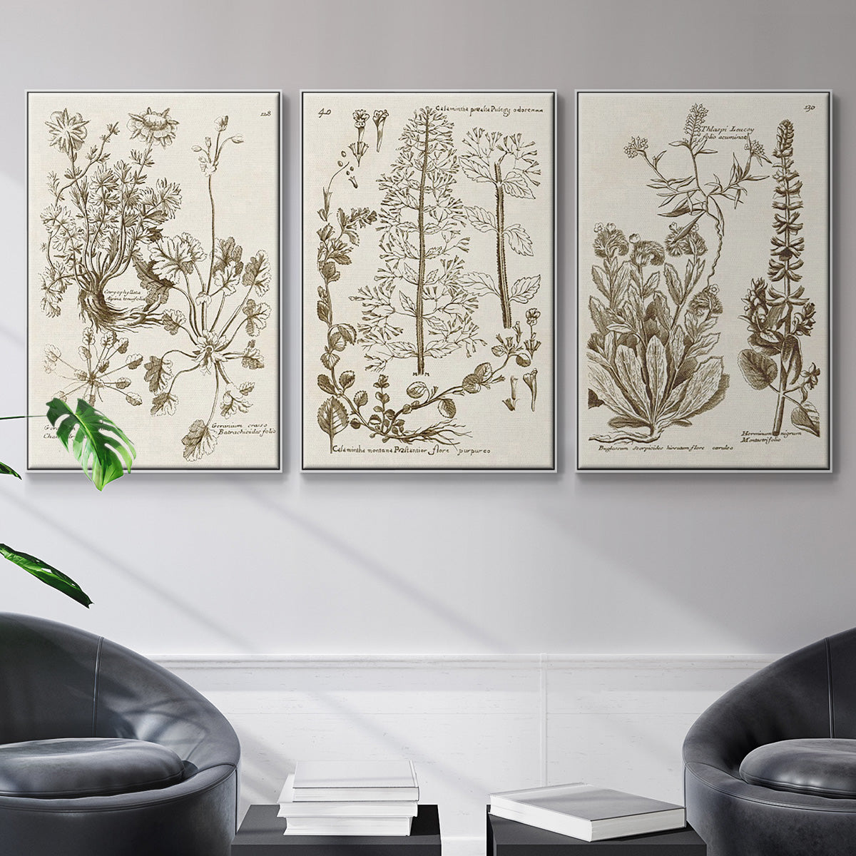 Sepia Botanical Journal IV - Framed Premium Gallery Wrapped Canvas L Frame 3 Piece Set - Ready to Hang