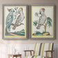 Pastel Birds I - Premium Framed Canvas 2 Piece Set - Ready to Hang