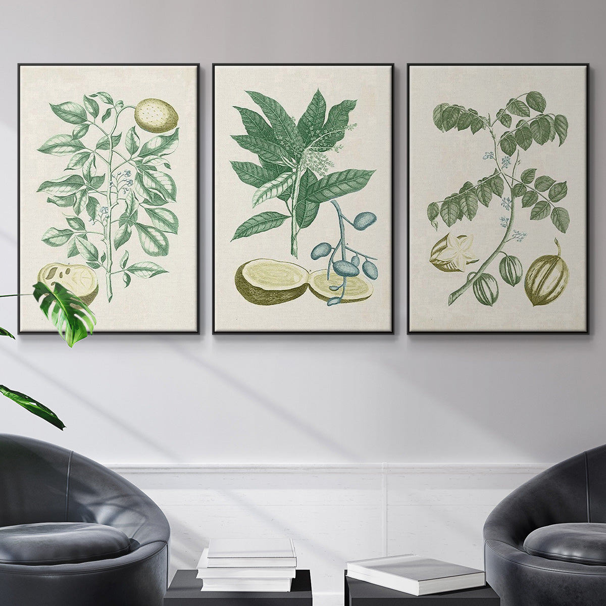 Buchoz Tropicals II - Floater Framed Canvas Set