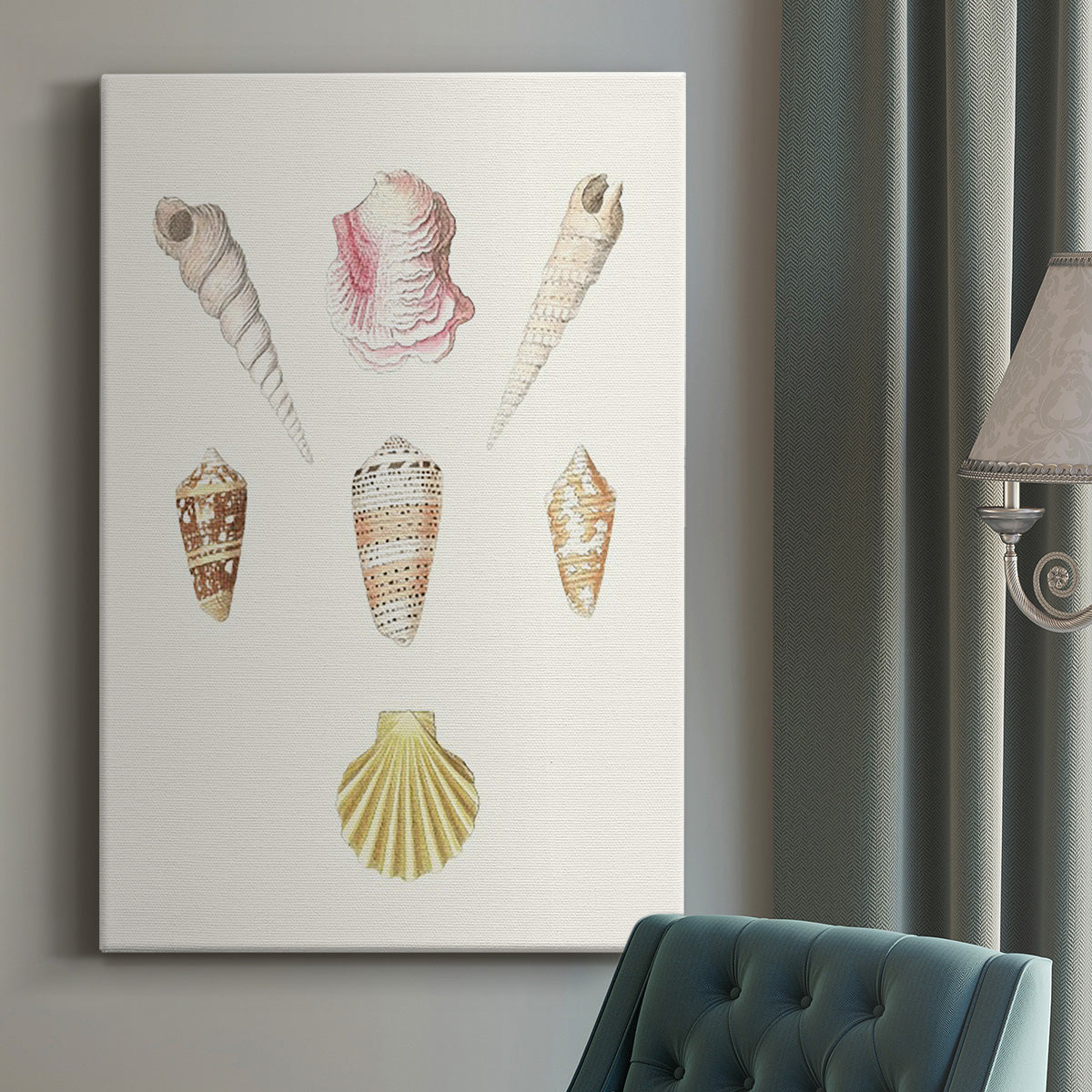 Pastel Knorr Shells I Premium Gallery Wrapped Canvas - Ready to Hang