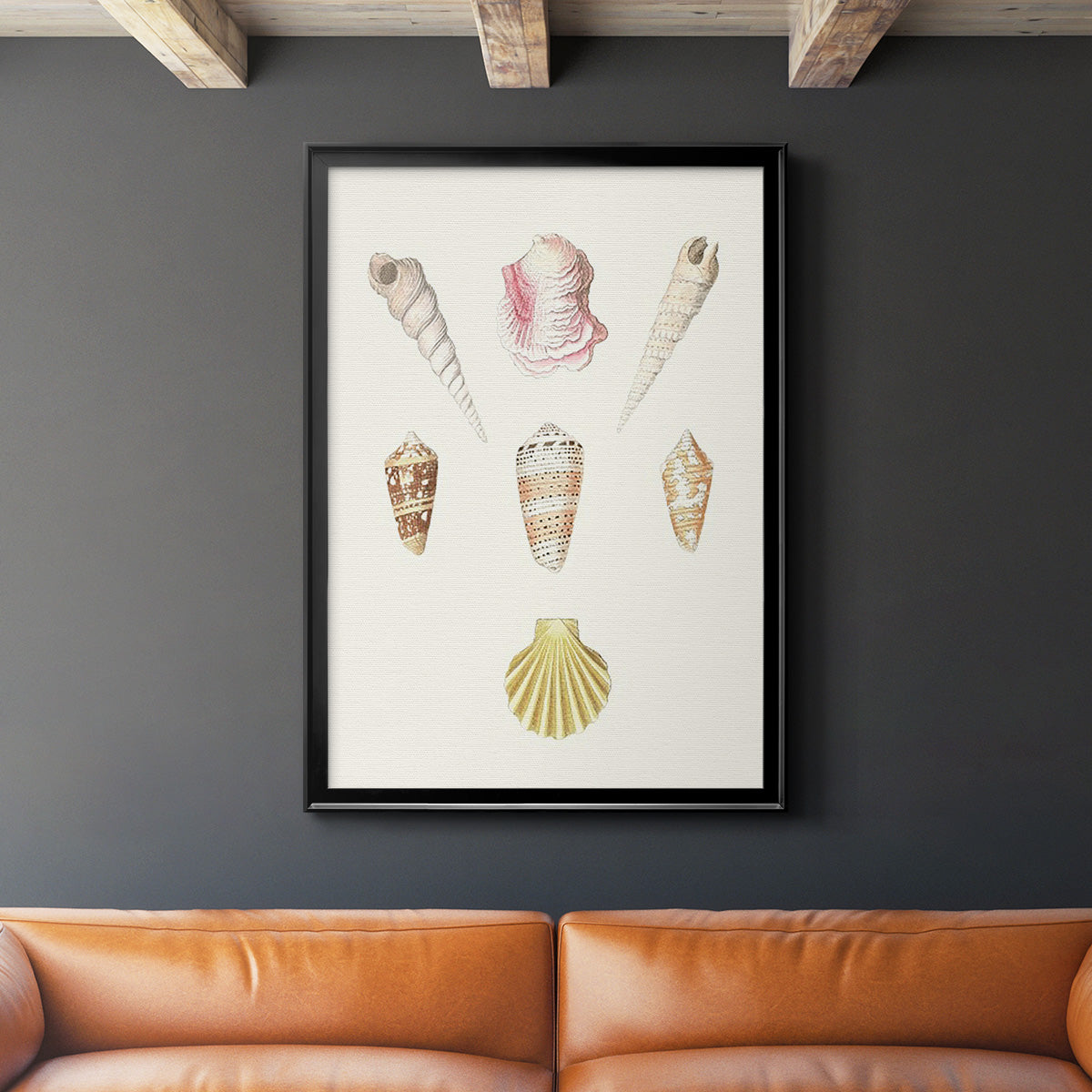 Pastel Knorr Shells I - Modern Framed Canvas Print